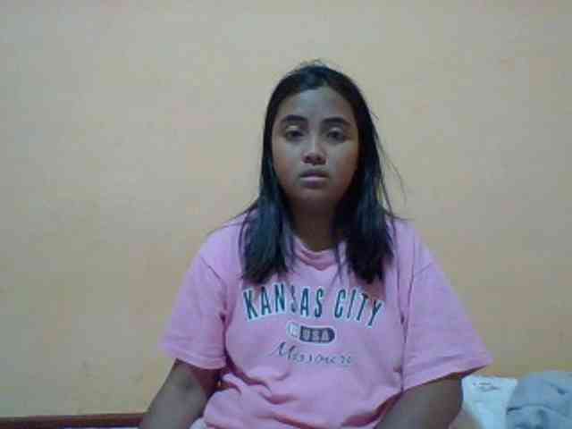 SunsetMonica webcam