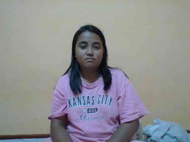 SunsetMonica webcam
