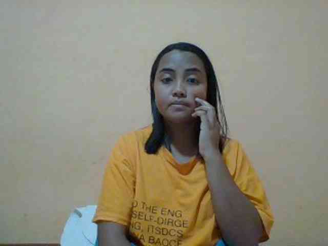 SunsetMonica webcam