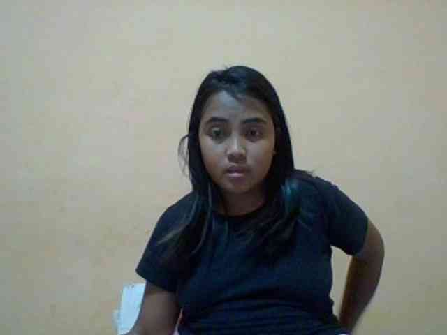 SunsetMonica webcam