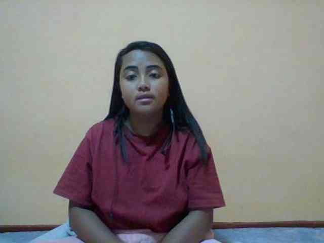 SunsetMonica webcam