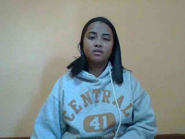 SunsetMonica webcam