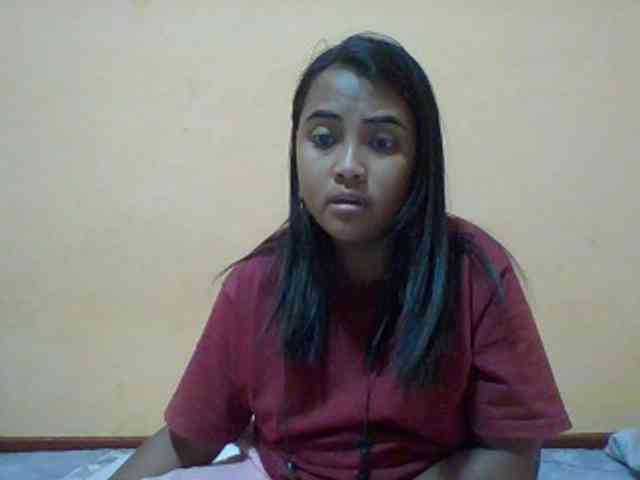 SunsetMonica webcam