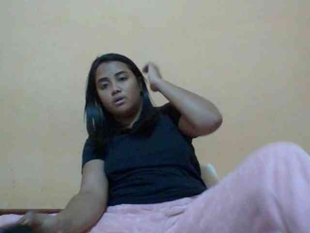 SunsetMonica webcam