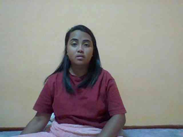SunsetMonica webcam
