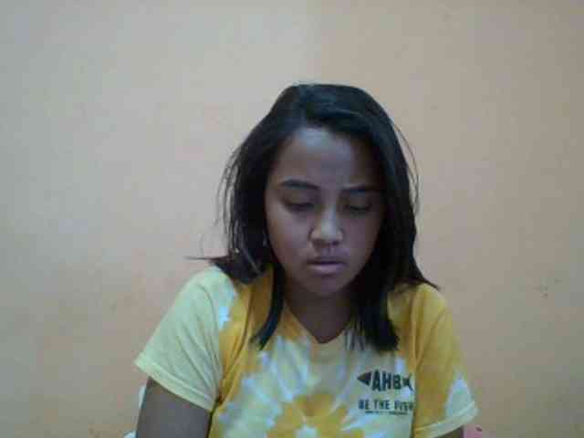 SunsetMonica webcam