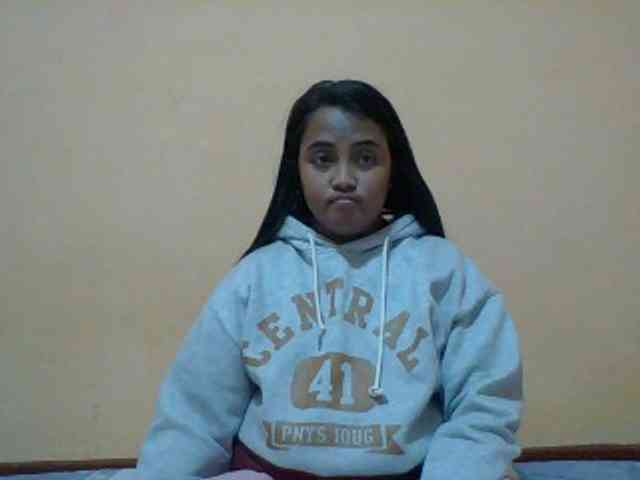 SunsetMonica webcam