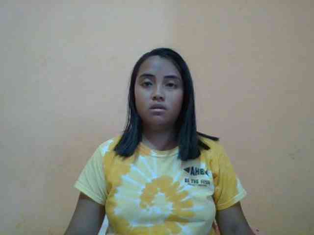 SunsetMonica webcam