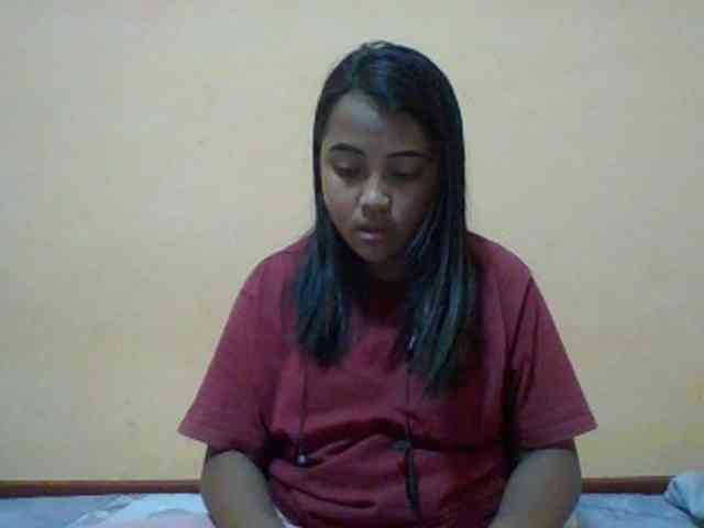 SunsetMonica webcam