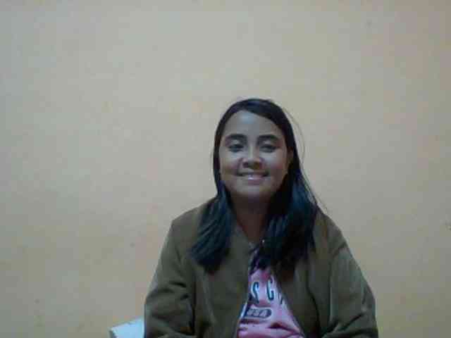 SunsetMonica webcam
