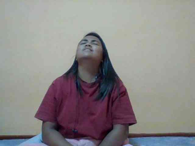 SunsetMonica webcam