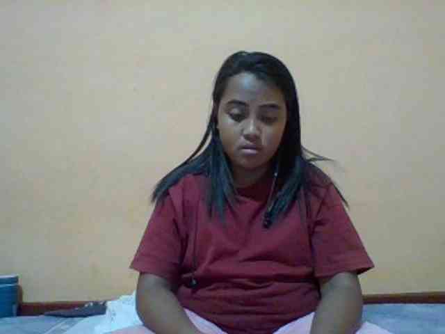 SunsetMonica webcam