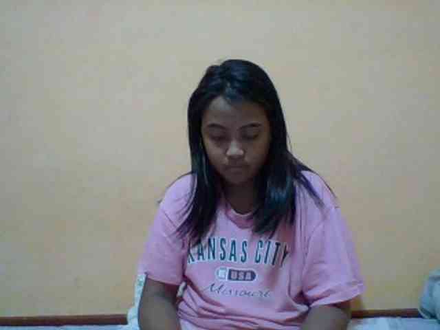 SunsetMonica webcam