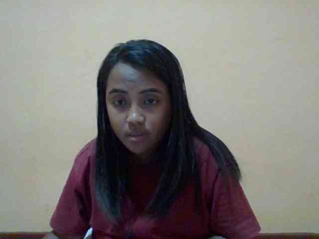 SunsetMonica webcam