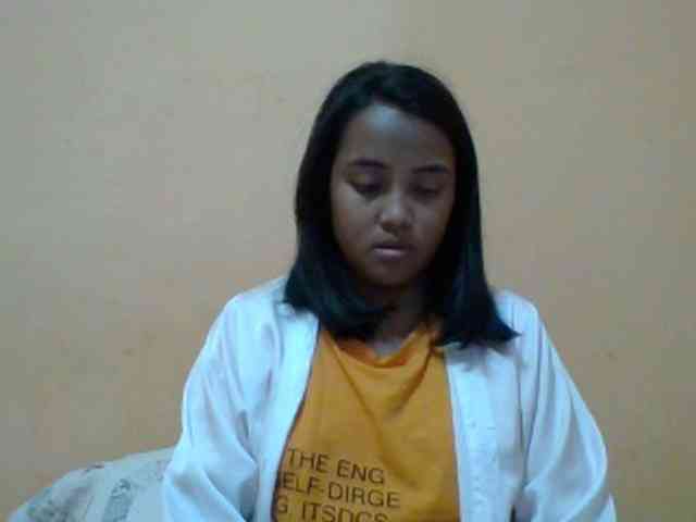 SunsetMonica webcam