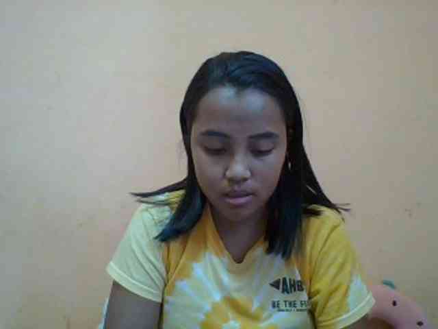 SunsetMonica webcam
