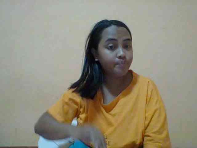 SunsetMonica webcam