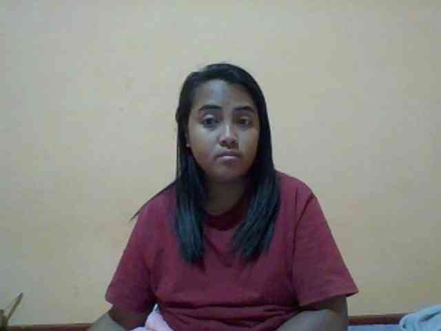SunsetMonica webcam