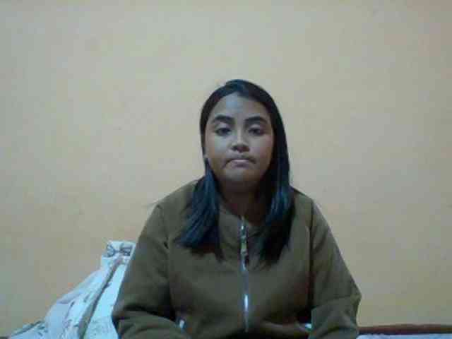 SunsetMonica webcam