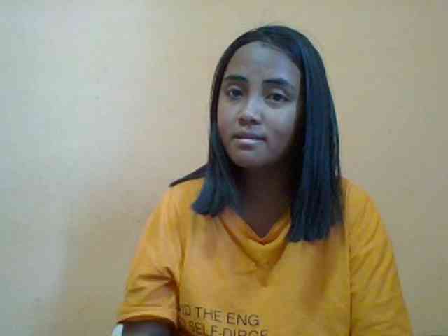 SunsetMonica webcam