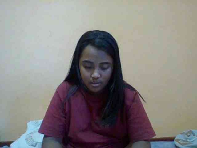 SunsetMonica webcam