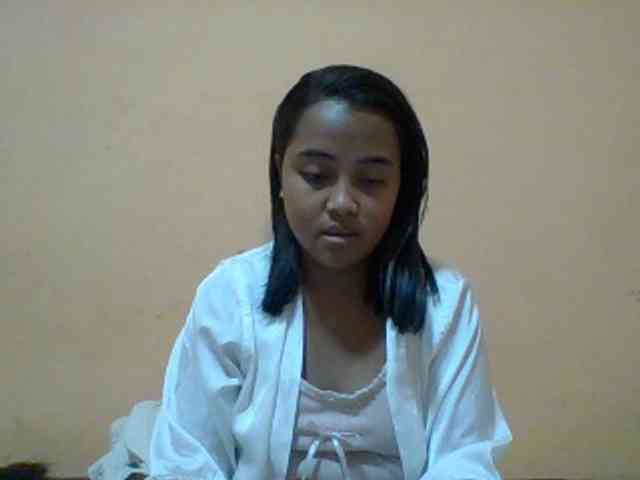 SunsetMonica webcam