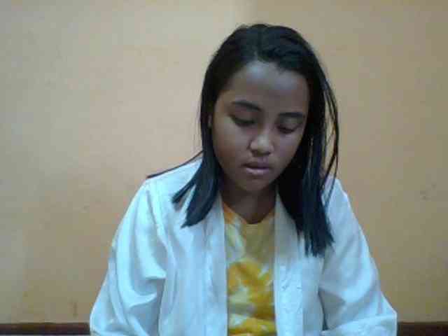 SunsetMonica webcam