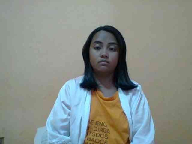 SunsetMonica webcam