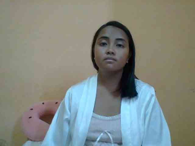 SunsetMonica webcam