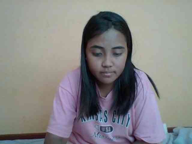 SunsetMonica webcam