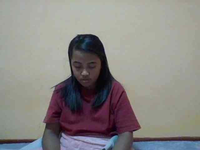 SunsetMonica webcam