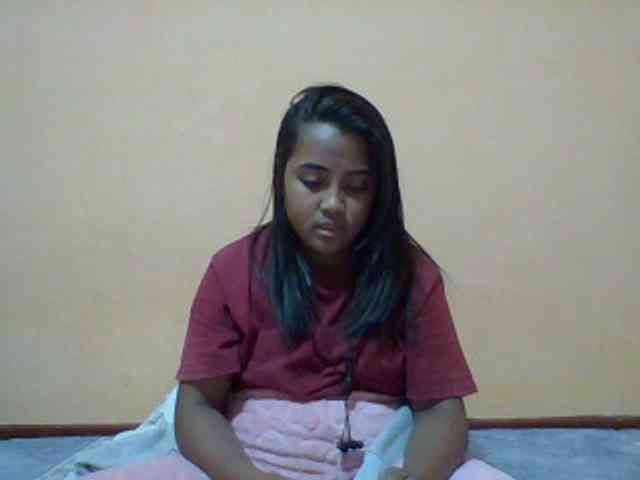SunsetMonica webcam