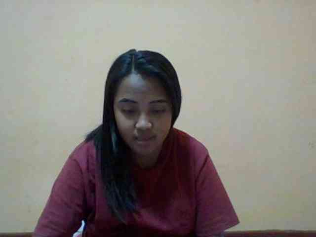 SunsetMonica webcam