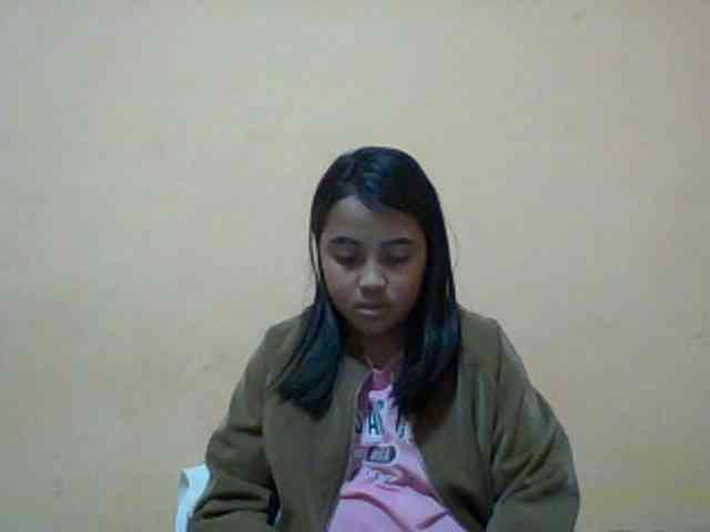 SunsetMonica webcam