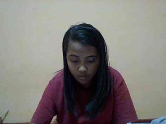 SunsetMonica webcam