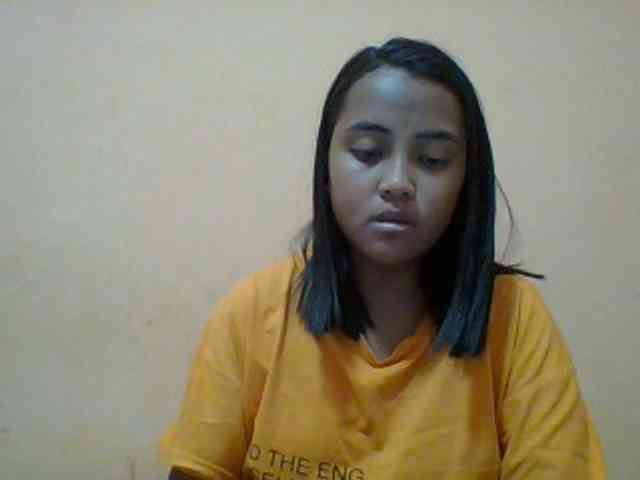 SunsetMonica webcam