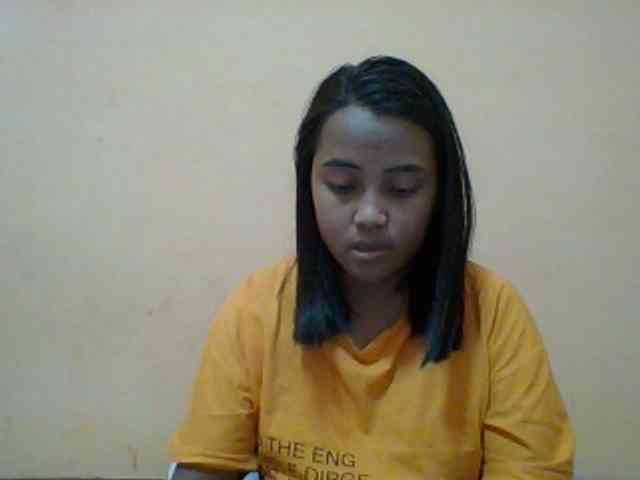 SunsetMonica webcam