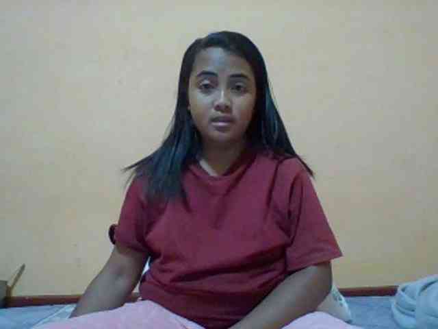 SunsetMonica webcam