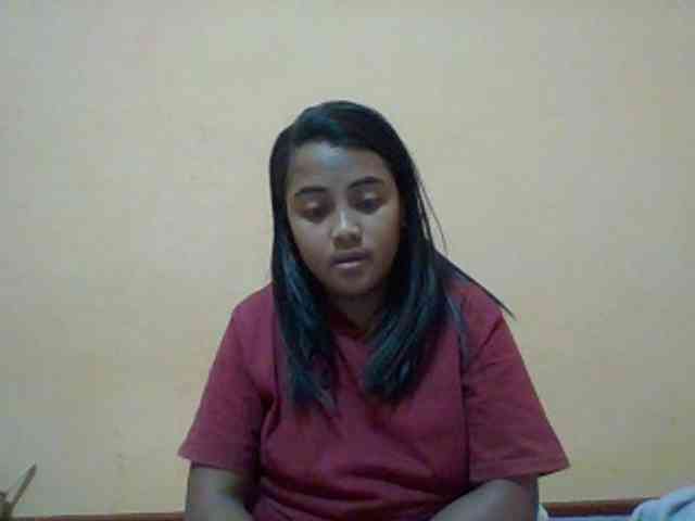 SunsetMonica webcam