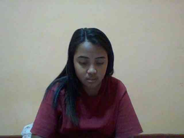 SunsetMonica webcam
