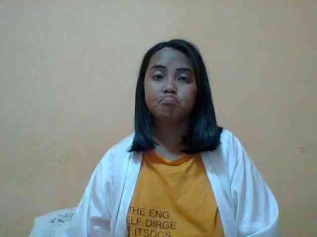 SunsetMonica webcam