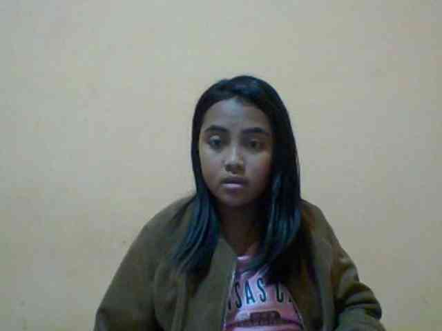 SunsetMonica webcam