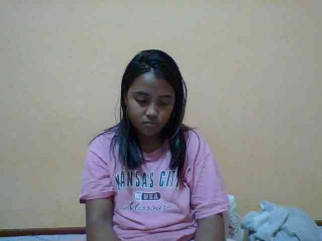 SunsetMonica webcam
