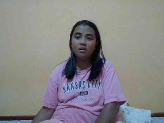 SunsetMonica webcam