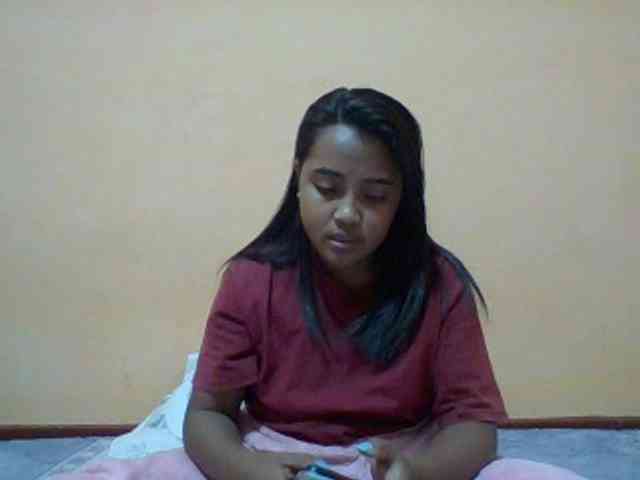 SunsetMonica webcam