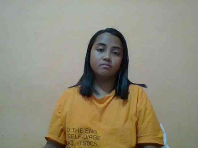 SunsetMonica webcam