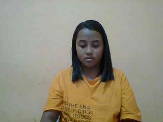 SunsetMonica webcam
