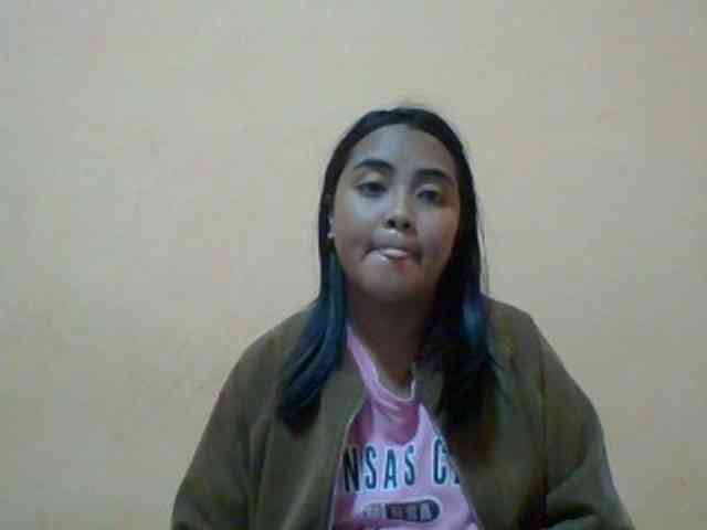 SunsetMonica webcam