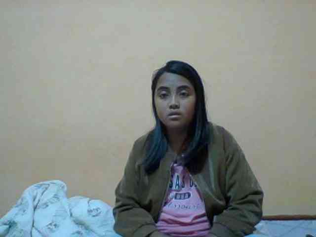 SunsetMonica webcam