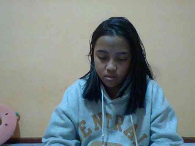 SunsetMonica webcam